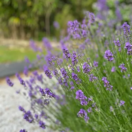 Douce Halte * Sautron